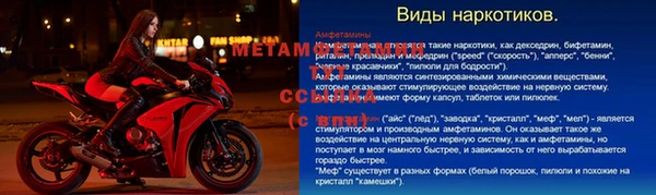 индика Надым