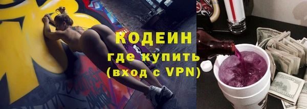 индика Надым