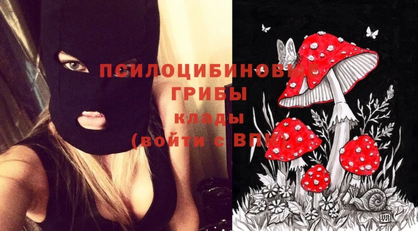 гидра Навашино