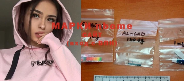 индика Надым