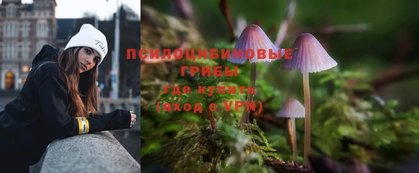 спайс Бердск