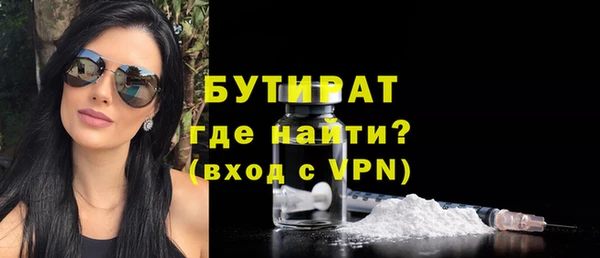 индика Надым