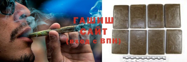 индика Надым