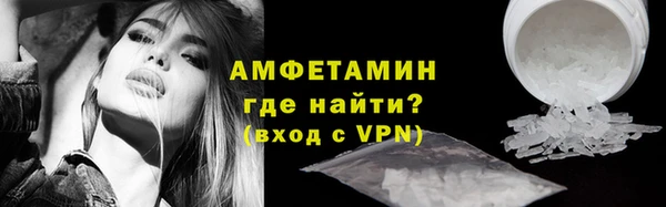 индика Надым