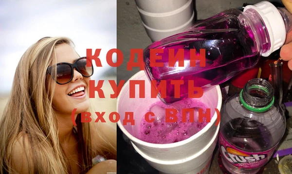индика Надым