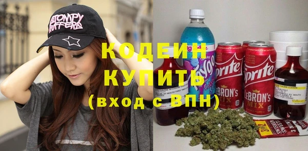 индика Надым