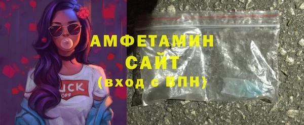 индика Надым