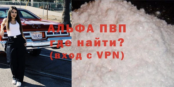 индика Надым