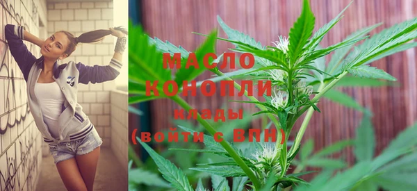 индика Надым