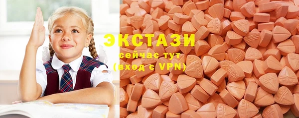индика Надым