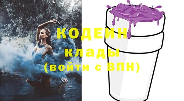 индика Надым