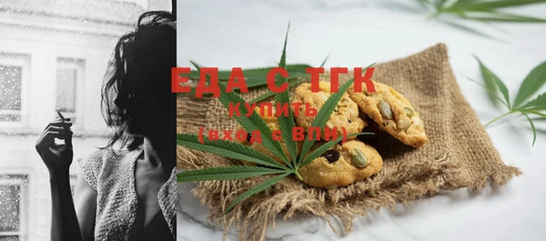 индика Надым