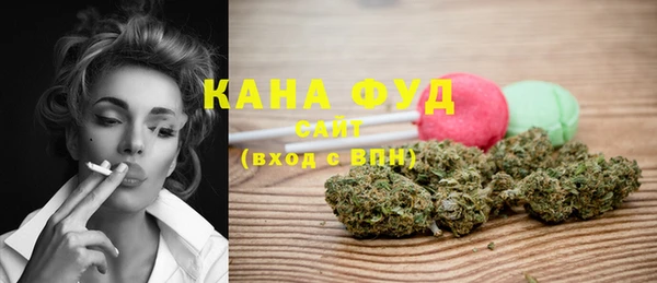 индика Надым