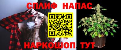крисы Азнакаево