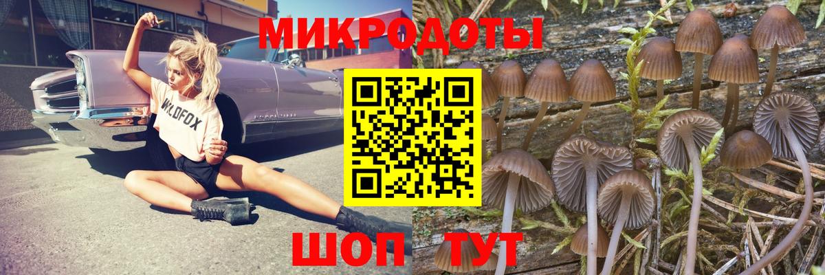 Галлюциногенные грибы мухоморы Саратов