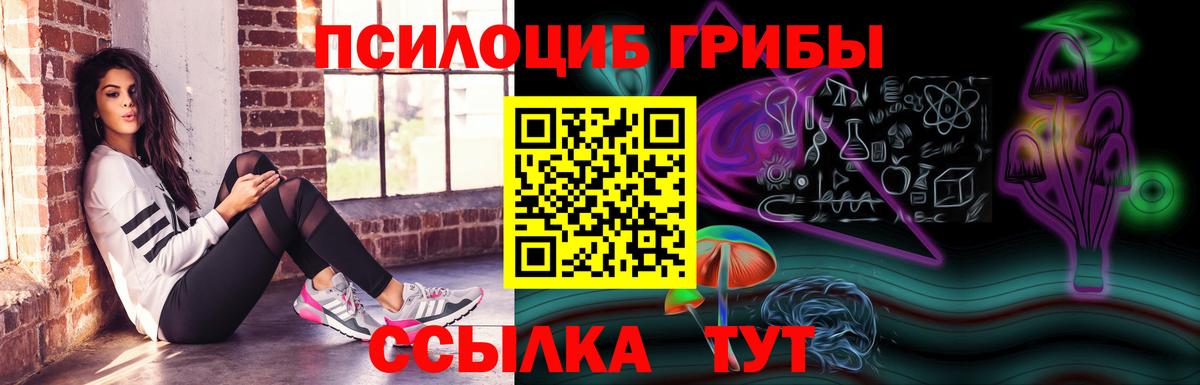 Саратов  Галлюциногенные грибы Psilocybine cubensis  Вход с VPN 